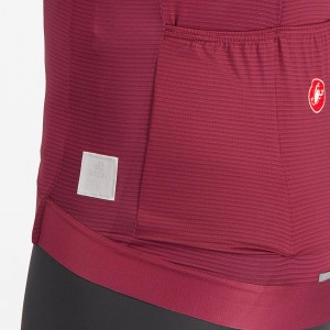 Herren Trofeo Giro d'Italia 2024 Trikot-Bordeaux
