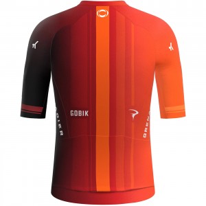 Herren Gobik Ineos Grenadiers 2024 Reactive trikot