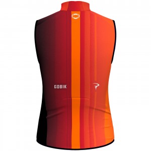 Herren Gobik Ineos Grenadiers 2024 Plus 2.0 weste