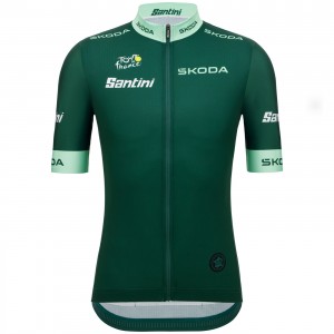 Herren Tour de France 2024 Fan Line Grun trikot
