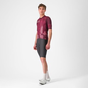 Herren Trikot Siena Giro d'Italia 2025