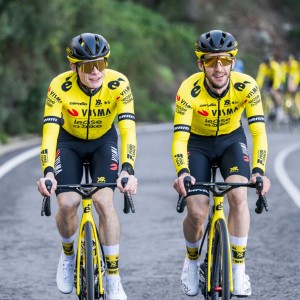 Herren Team Visma Lease a bike 2025 langarm trikot