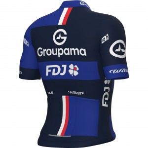 Herren Ale Groupama FDJ 2025 trikot