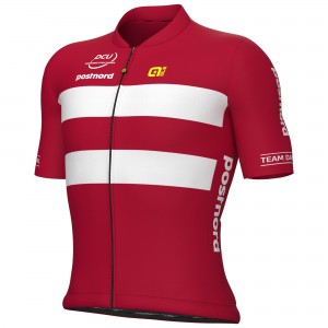 Herren Ale Dänische Nationalmannschaft 2025 trikot