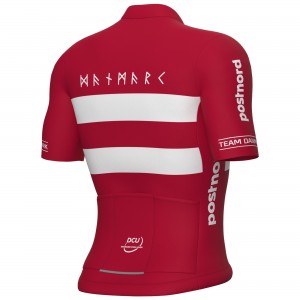 Herren Ale Dänische Nationalmannschaft 2025 trikot