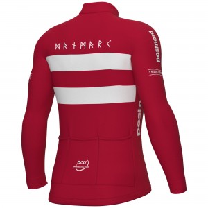 Herren Ale Dänische Nationalmannschaft 2025 langarmtrikot