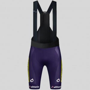 Herren Gobik Wilier Vittoria 2025 Absolute Print K10 tragerhose