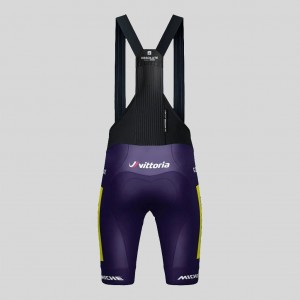 Herren Gobik Wilier Vittoria 2025 Absolute Print K10 tragerhose