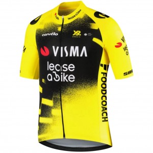 Damen Team Visma Lease a bike 2025 The Wingbeat frau trikot