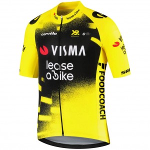 Herren Team Visma Lease a bike 2025 The Wingbeat trikot Herren Team Visma Lease a bike 2025 The Wingbeat trikot