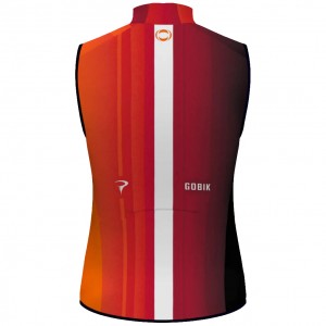 Herren Gobik Ineos Grenadiers 2025 Plus 2.0 weste