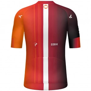Herren Gobik Ineos Grenadiers 2025 Odyssey trikot Herren Gobik Ineos Grenadiers 2025 Odyssey trikot