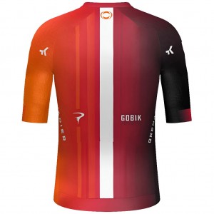 Herren Gobik Ineos Grenadiers 2025 Reactive 2.0 trikot